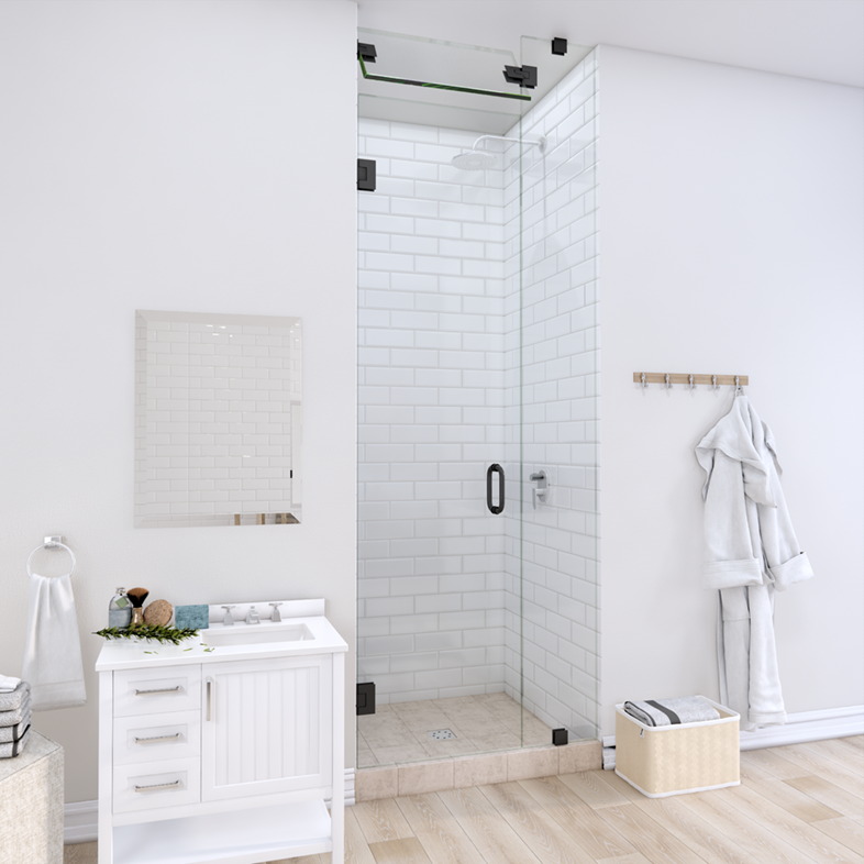 Right Open Door & Panel Shower Door with Steam Shower Transom